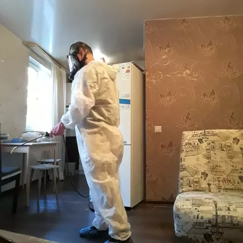 Фото обработки от клопов — г. Верхняя Пышма — фото 3